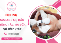Dịch vụ massage mẹ bầu, thông tắc tia sữa hiệu quả tại Biên Hòa